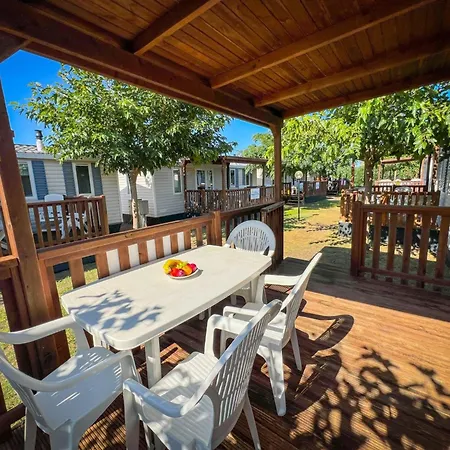 Italia Lido-1 By Interhome Casa vacanze